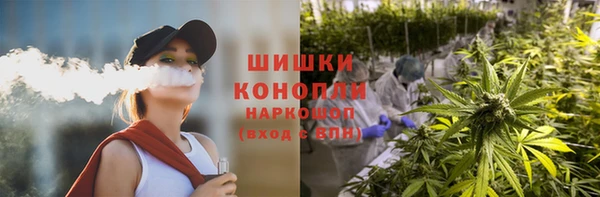 бошки Алексин