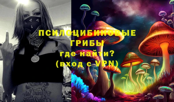 бошки Алексин