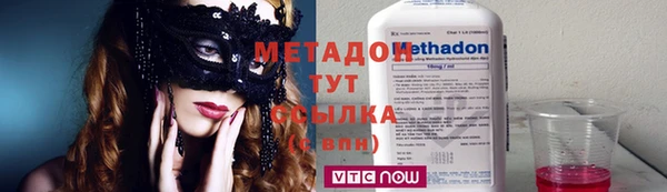 прущие грибы Алзамай