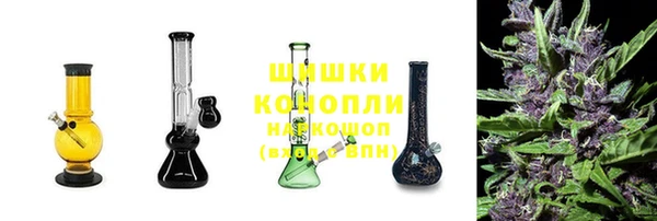 бошки Алексин