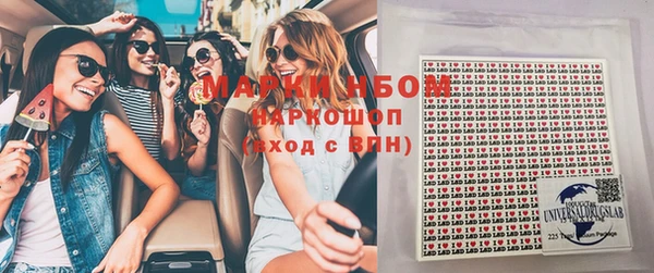 прущие грибы Алзамай