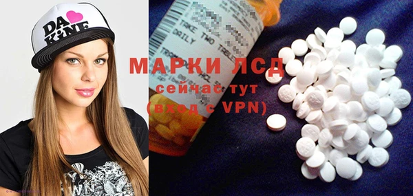 прущие грибы Алзамай